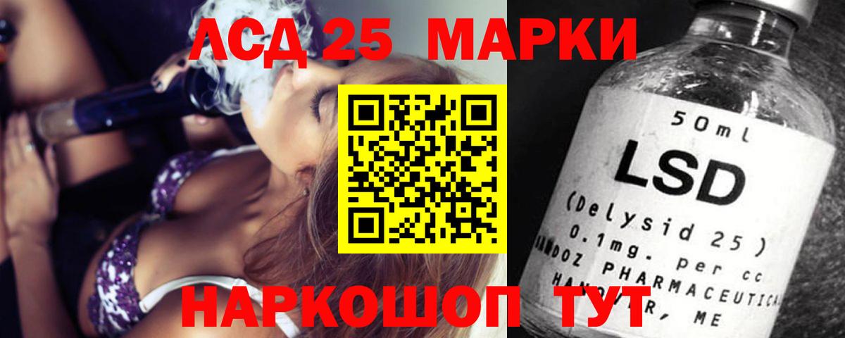 Курчалой  Лсд 25 экстази кислота  Вход с VPN  LSD-25 экстази кислота 