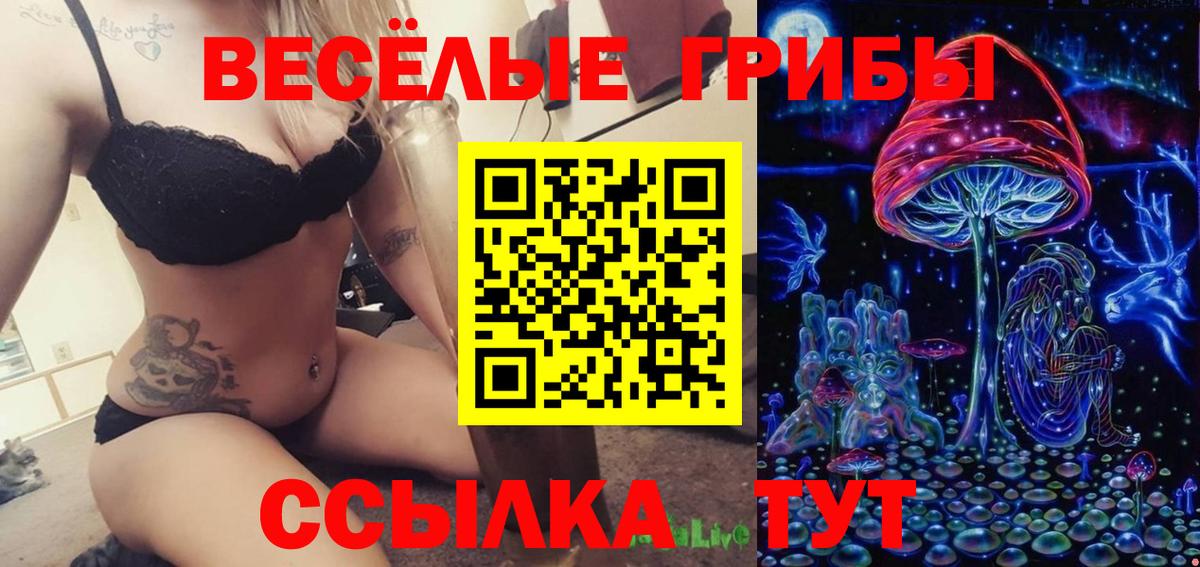 Псилоцибиновые грибы Psilocybe  Вход с VPN  Галлюциногенные грибы GOLDEN TEACHER  Курчалой 