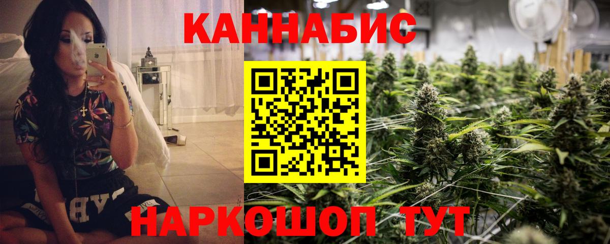 Бошки марихуана конопля  Бошки Шишки тримм  Вход с VPN  Конопля Bruce Banner  Канабис индика  Курчалой 